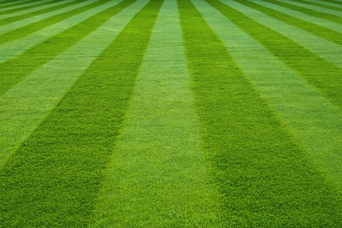 dll-commercial-lawn-fertilization
